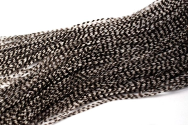 Endless hackle Endless hackle