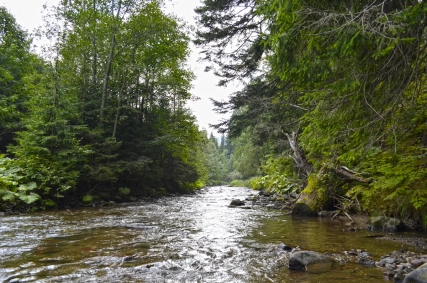 The upper end of hopper valley The upper end of hopper valley