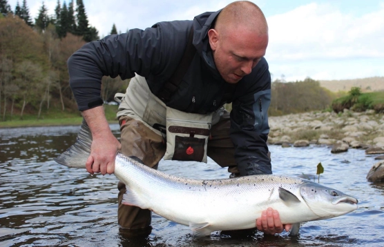 The much sought after Scottish spring salmon The much sought after Scottish spring salmon