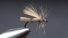 Video thumb for Puterbaugh Caddis Variant