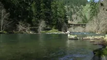 Video thumb for Tying the Summerberry