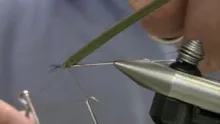 Video thumb for Extended Body Green Drake