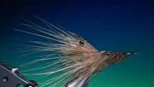 Video thumb for Awesome Opossum Shrimp