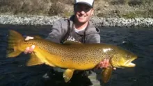 Video thumb for Gigantic Brown Trout