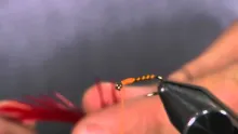 Video thumb for Mustard Buzzer