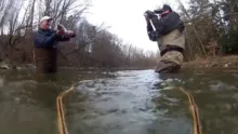 Video thumb for Cabin Fever