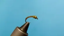 Video thumb for PB's buzzer #3