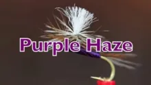 Video thumb for Purple Haze