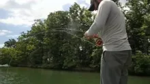 Video thumb for Carpspace