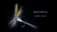Video thumb for Cross Special