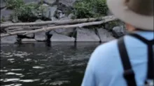Video thumb for Willowemoc Fly Fishing 2012