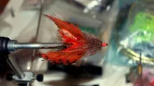 Video thumb for Sweet Potato Crab