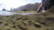 Video thumb for South Island, New Zealand