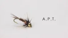 Video thumb for A.P.T.