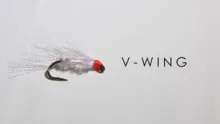 Video thumb for V-Wing