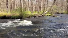 Video thumb for Cross River