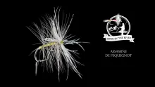 Video thumb for Assassine De Pequegnot