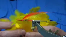 Video thumb for Tummel Monkey (variant)