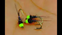 Video thumb for Early Season Black Hare's Ear Nymph