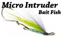Video thumb for Micro Intruder Fly