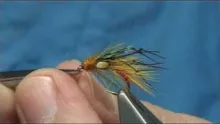 Video thumb for The Irish Snatcher