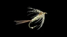 Video thumb for March Brown Nymph