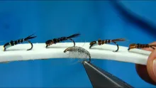 Video thumb for My Best All Round Nymph Patterns by Davie McPhail