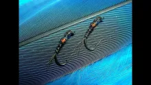 Video thumb for Melanistic Pheasant Tail Nymph