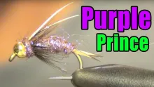 Video thumb for Purple Prince Nymph