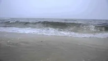 Video thumb for The Danish seatrout