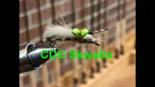 Video thumb for CDC Skwalla