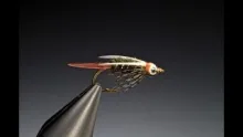 Video thumb for Prince Nymph Variant