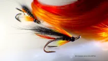 Video thumb for Minx Cascade