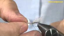 Video thumb for Mule Midge