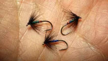 Video thumb for Orange & Peacock Spider Wet Fly