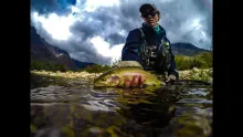 Video thumb for Trout VS Streamer