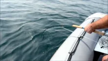 Video thumb for Tuna Fly Popping