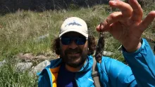 Video thumb for Looking for mice