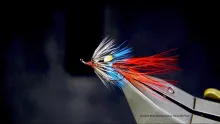Video thumb for Ayrshire Blue Shrimp