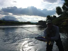 User submitted picture: The backlight through the...