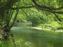 User submitted picture: Small stream from the sou...