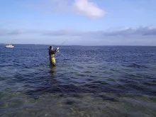 User submitted picture: 3 clear jumps and the bac...