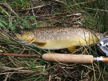 User submitted picture: 2.5lbs of Easter Thursday...