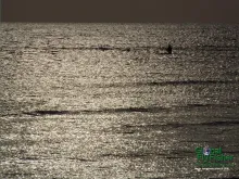 Computer screen wallpaper: Lonely angler on the big water.
