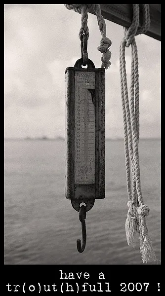 User submitted picture: Without any doubt;
the t...