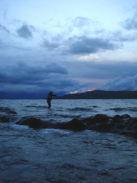 User submitted picture: Casting for big brows and...