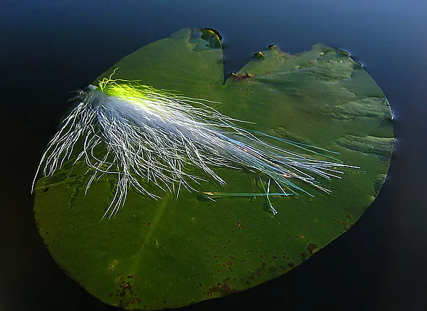 User submitted picture: Pike streamer taking some...