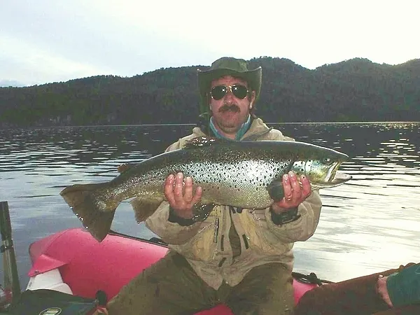User submitted picture: brown trout , 6,3 kg
fis...