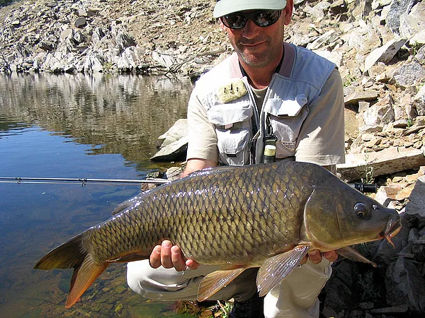 User submitted picture: Carp, 3-weight line, 5-we...