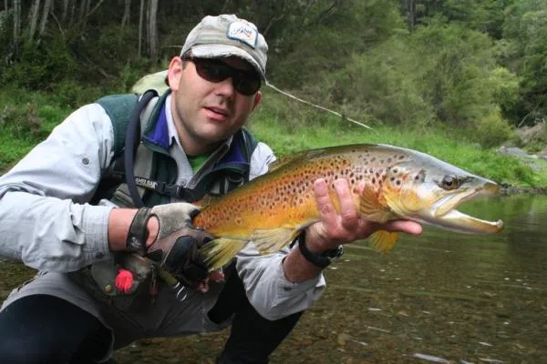 User submitted picture: Dizzyg with a pretty Brow...